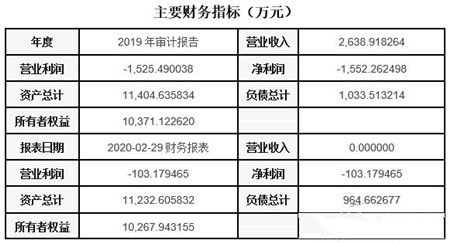 上海軟件和信息技術(shù)服務(wù)公司轉(zhuǎn)讓項(xiàng)目040523 信息系統(tǒng)集成服務(wù)商機(jī)