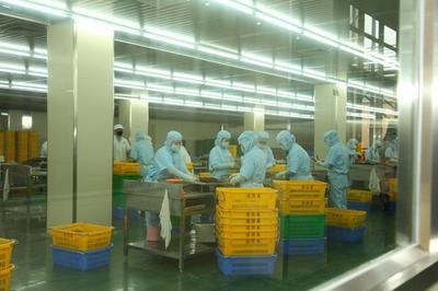 東莞道滘16家企業(yè)榮獲2022年度食品生產企業(yè)質量獎，彰顯產業(yè)高質量發(fā)展