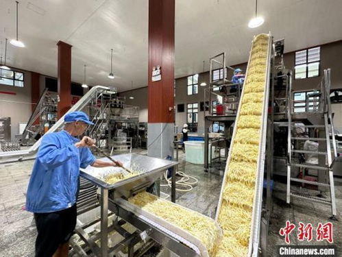 小竹筍闖出大世界 江西樂安做優(yōu)做強(qiáng)竹筍產(chǎn)業(yè)，鋪就鄉(xiāng)村致富路