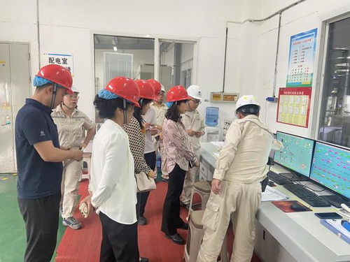 四川省市場(chǎng)監(jiān)管局深入廣元市開展食品生產(chǎn)企業(yè)體系建設(shè)專項(xiàng)檢查，筑牢食品安全防線