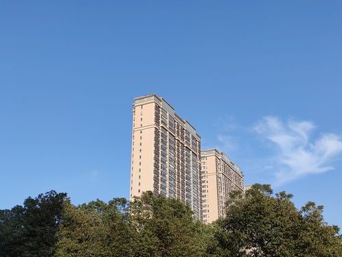 建筑學(xué)家提醒 一樓和頂樓不是最坑，這“三個(gè)樓層”才真正要想辦法避開